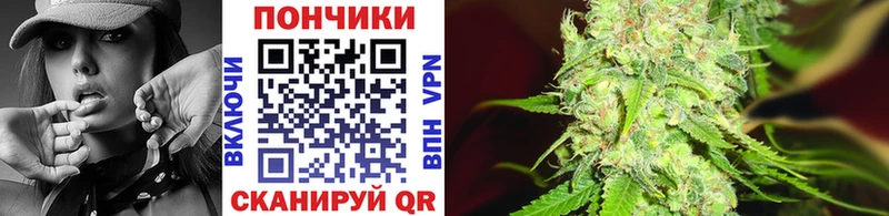 Бошки марихуана OG Kush darknet наркотические препараты Белая Холуница